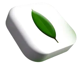 MongoDB