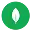 MERN Stack Developer