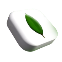 Best MERN Stack development 